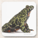Search for toad coasters Animal