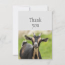 Search for goat farm cards Fun