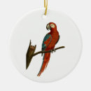 Search for bird christmas tree decorations Pet