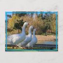 Search for three stooges Funny