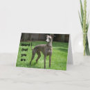Search for greyhound birthday cards Dog