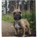 Search for french bulldog shower curtains Cute dog