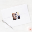 Search for kitten stickers Animal lover