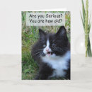 Search for funny black cat birthday cards Kitten