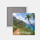 Search for pali magnets Tropical