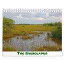 Search for alligator calendars Florida