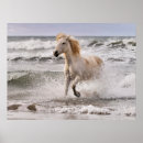 Search for running posters Wild horse