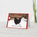 Search for hens cards Snow