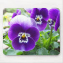 Search for viola mousepads Flowers