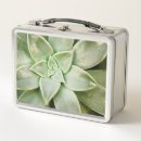 Search for masonic photography Flowers