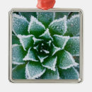 Search for freezing christmas tree decorations Cold