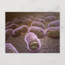 Search for microscopic postcards People
