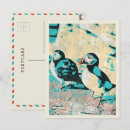Search for atlantic puffin postcards Ocean