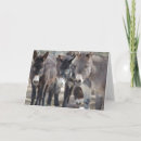 Search for burro cards Donkey