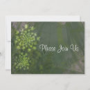 Search for vintage lace wedding invitations Green