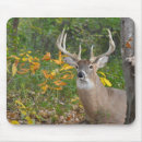 Search for rack mousepads Deer