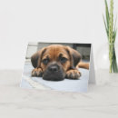 Search for sad miss you puppy postcards Thinking of you