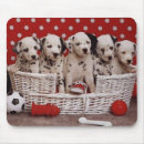 Search for baskets mousepads Puppies