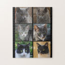 Search for black and white cat puzzles Kitty
