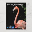Search for flocking fabulous Funny