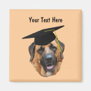 Search for mastiffs magnets Dog