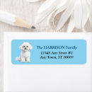 Search for bichon return address labels Watercolor
