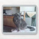 Search for adopt a pet mousepads Rescue