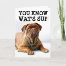 Search for mastiff birthday cards Funny