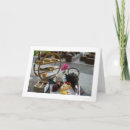 Search for afternoon cards Photography