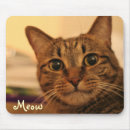 Search for cute cat mousepads Adorable