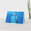 Search for funny dolphin cards Porpoise