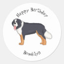 Search for mountain dog stickers Pet