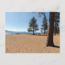 Search for evergreens postcards Travel