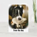 Search for happy fathers day from dog Animal lover