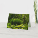 Search for fern cards Leaves
