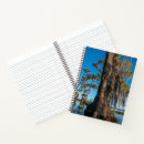 Search for cypress tree Spanish moss