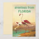 Search for florida scene cards Flamingo