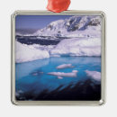 Search for frozen christmas tree decorations Cold