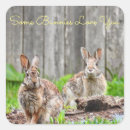Search for two rabbits stickers Bunnies