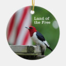 Search for woodpecker christmas tree decorations Birding
