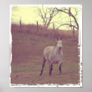 Search for galloping posters Grey