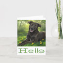 Search for black labrador puppy cards Puppies