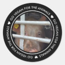 Search for animals stickers Animal rights