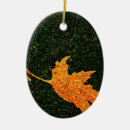 Search for autumn christmas tree decorations Landscape