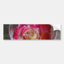 Search for rose bumper stickers Photography