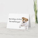 Search for russel cards Dog