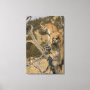 Search for captive canvas prints Joe