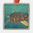 Search for underwater christmas tree decorations Green