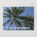Search for location postcards Palm trees