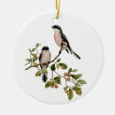 Search for victorian christmas tree decorations Birds